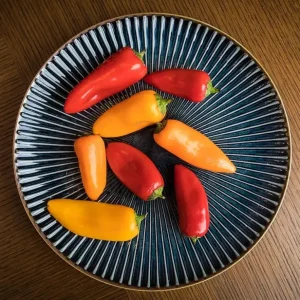 MIYA Company Medium Plates^Aiya Navy 8-3/4