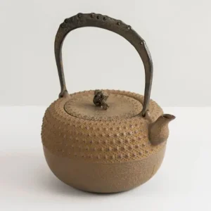 MIYA Company Teapots - Cast Iron^Iwachu Kettle Tetsubin Gravel Turtleshell Brown