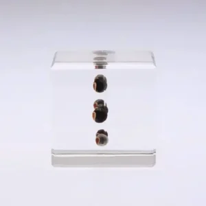 MIYA Company Desk Accessories^Sola Cube Balloon Plant