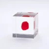 MIYA Company Desk Accessories^Sola Cube Huayruro Seed